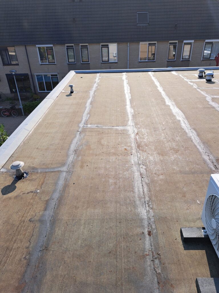 WhatsApp Image 2026-04-01 at 12.40.53 (3)